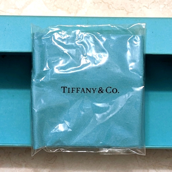 Tiffany & Co Gift Box & Lens Cleaning Cloth - Picture 11 of 11